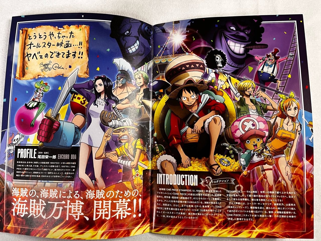 One Piece Stampede Anime Film Gets Novel in August - News - Anime News  Network