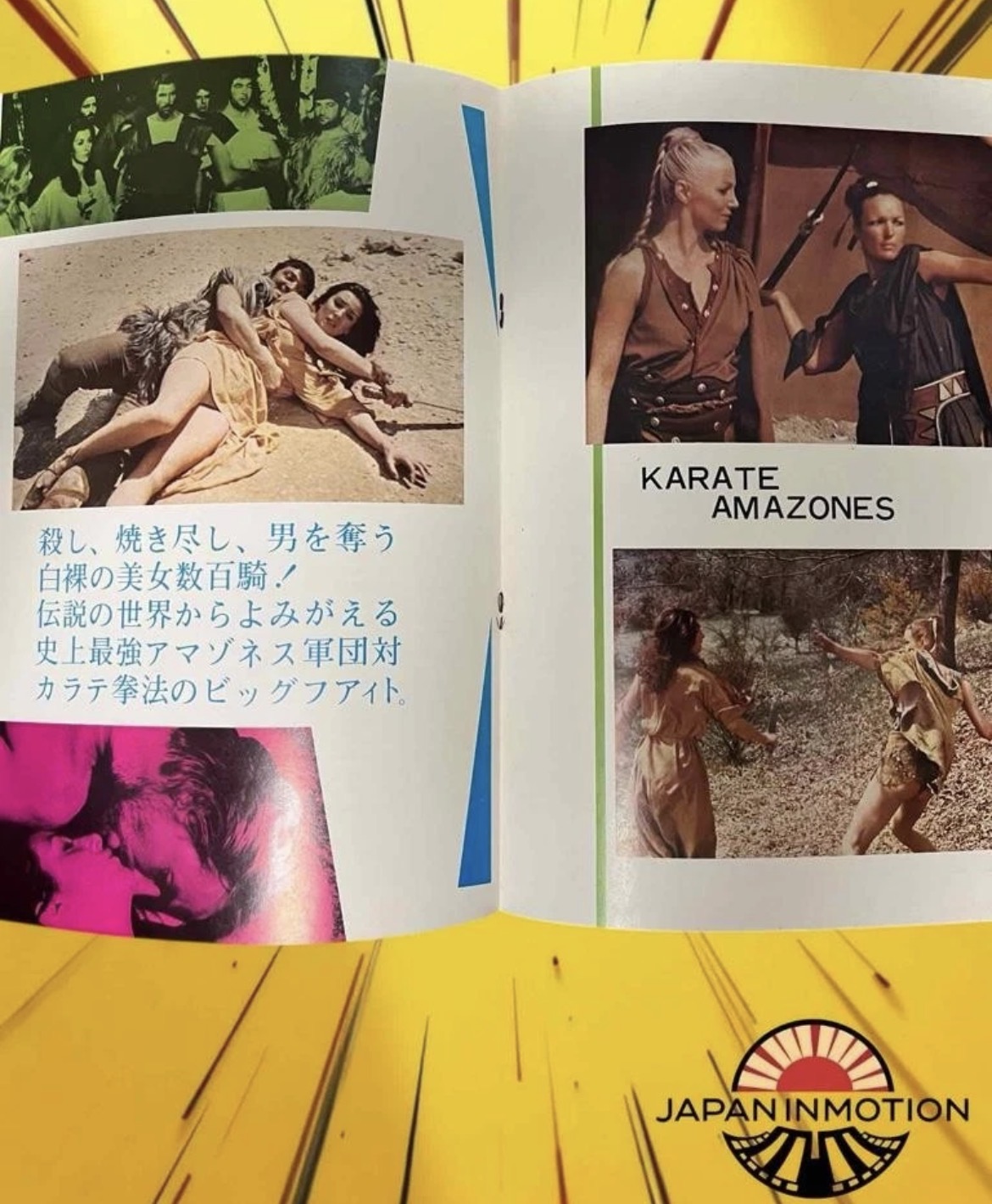 a7310w Karate Amazons 1973 Japan Movie Pamphlet Book - Image 2
