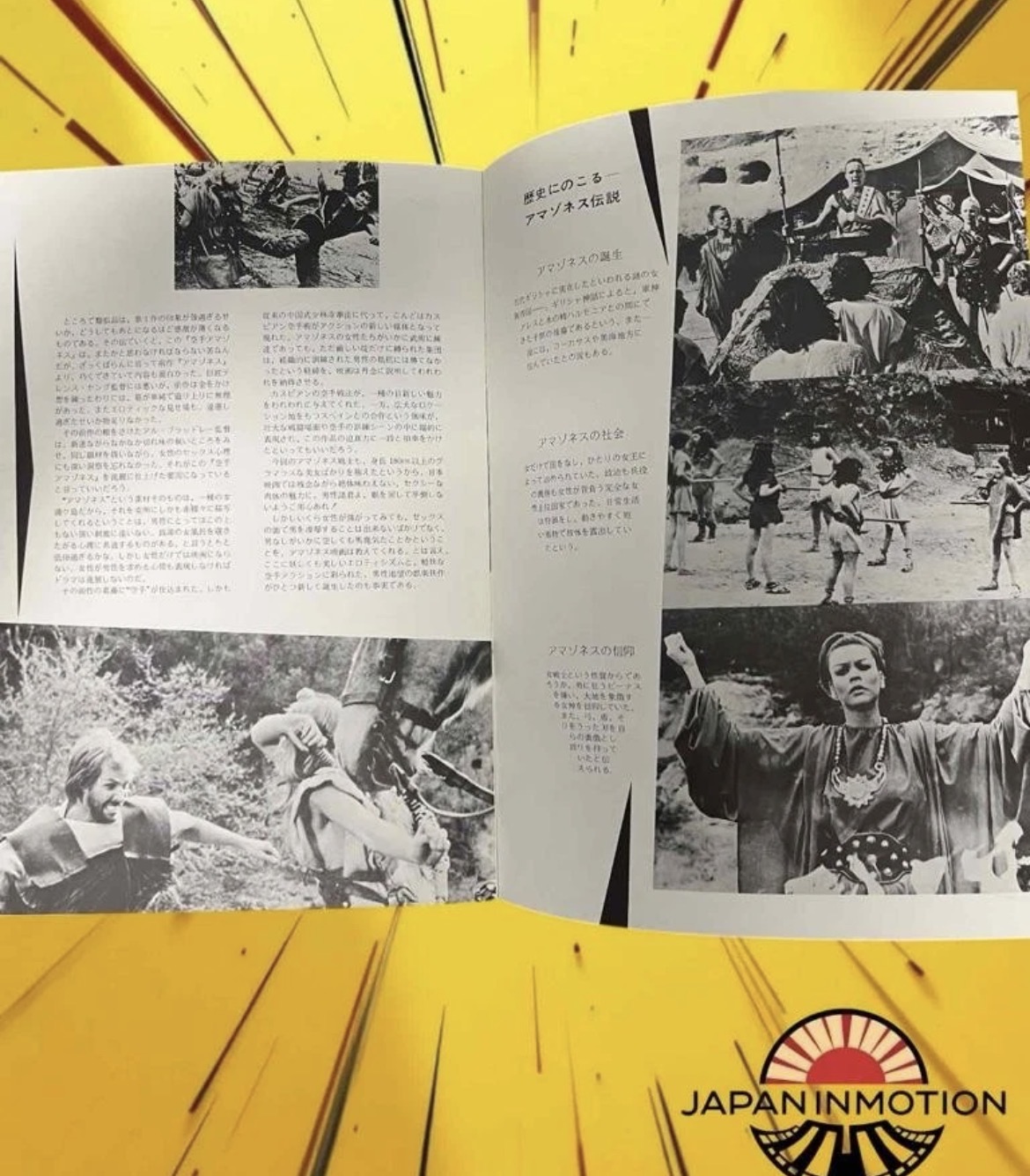 a7310w Karate Amazons 1973 Japan Movie Pamphlet Book - Image 3