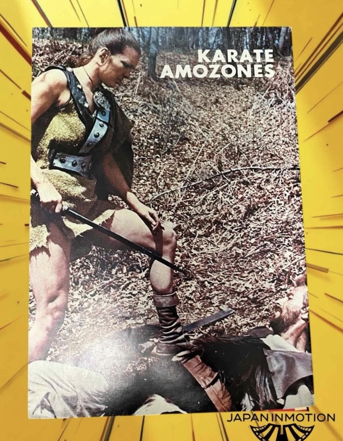 a7310w Karate Amazons 1973 Japan Movie Pamphlet Book - Image 4